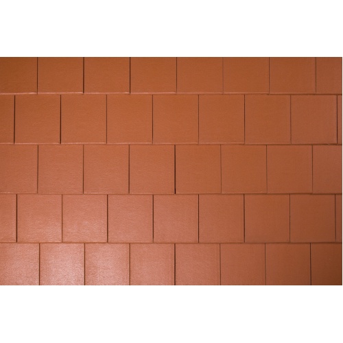 tectura_novo_teglavoros1_16993143