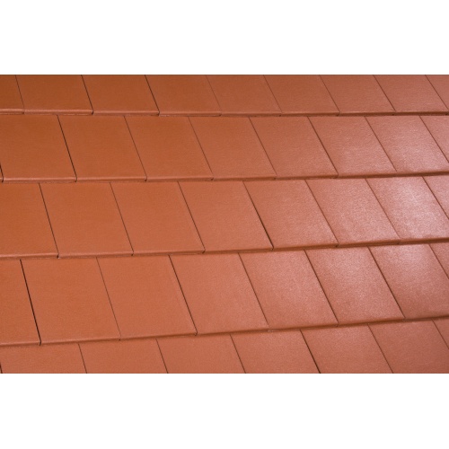 tectura_novo_teglavoros2_677118356